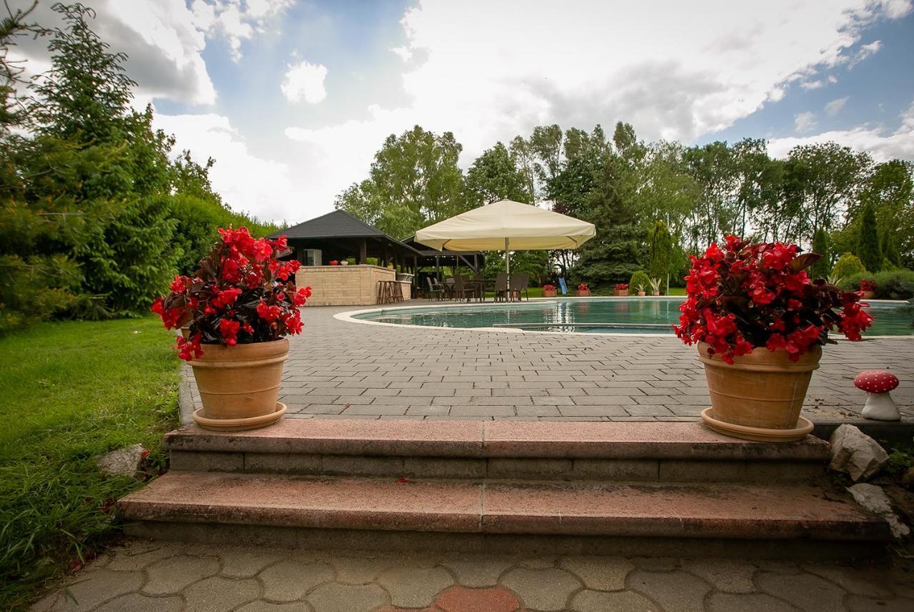Forras Vendeghaz Villa Dunaegyhaza Exterior photo