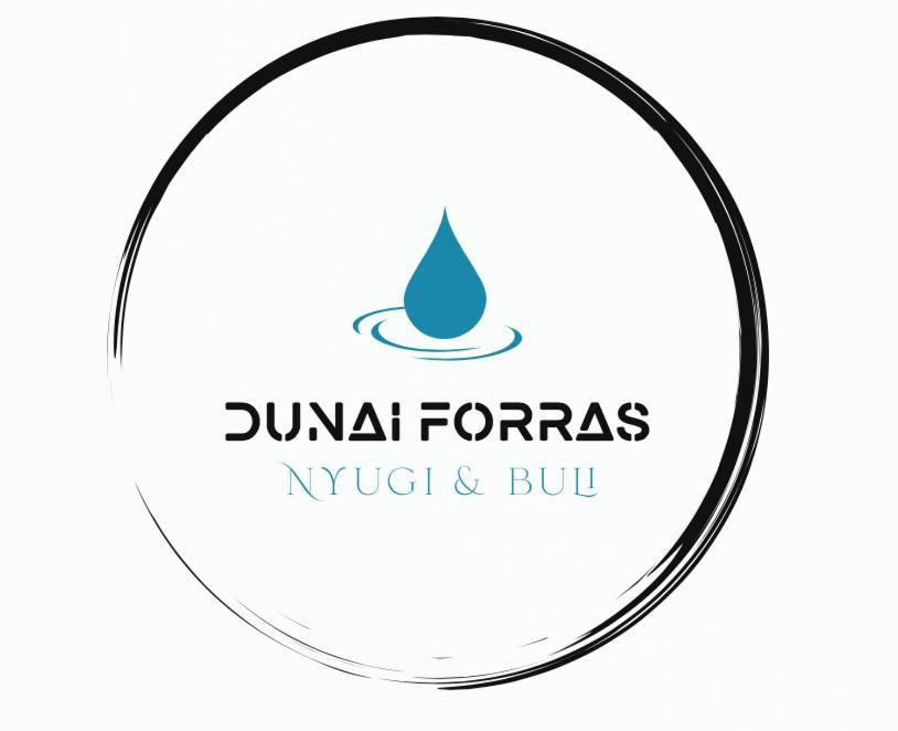 Forras Vendeghaz Villa Dunaegyhaza Exterior photo